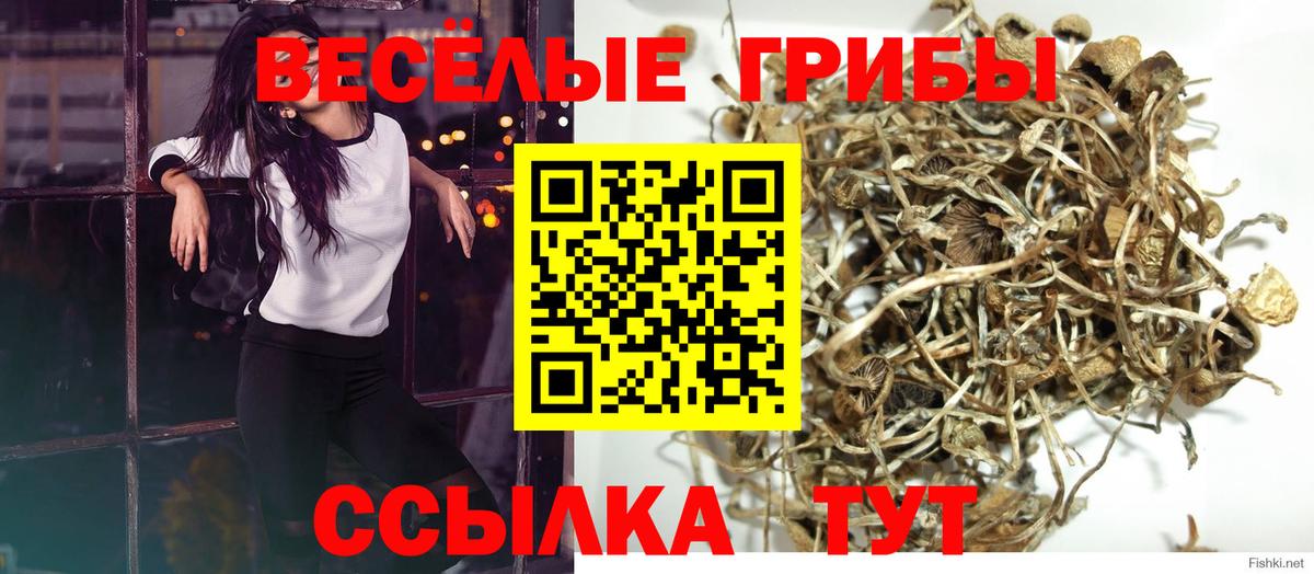 Псилоцибиновые грибы прущие грибы Донской