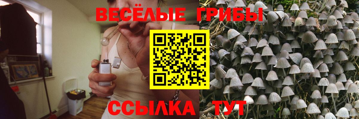 Псилоцибиновые грибы Psilocybe  Вход с VPN  Донской 