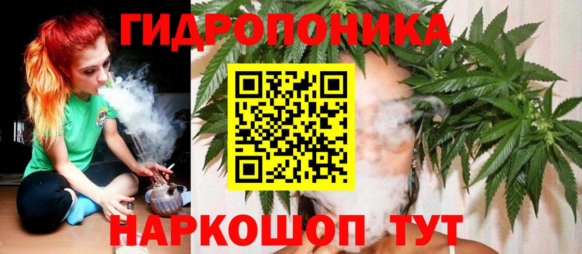 Донской  Шишки марихуана тримм  Вход с VPN  Бошки Шишки Bruce Banner 